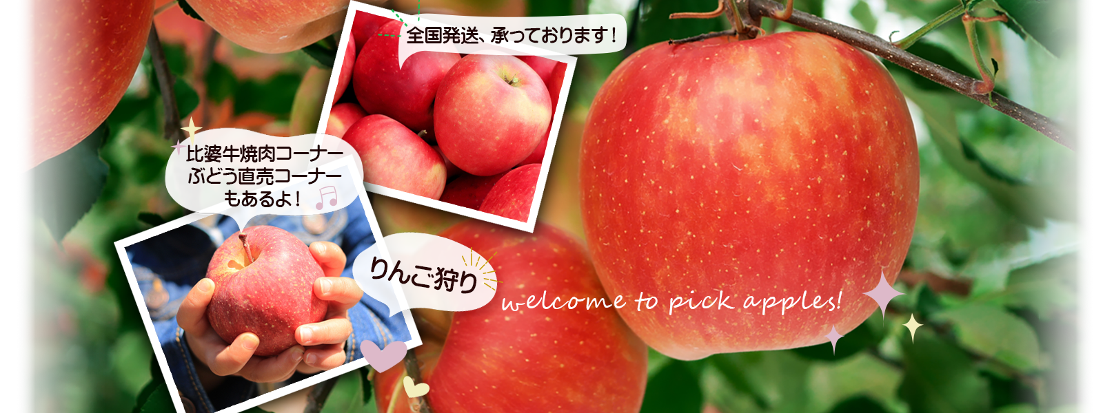 全国発送、承っております。比婆牛焼肉コーナー、ぶどう直売コーナーもあるよ!りんご狩り welcome to pick apples.