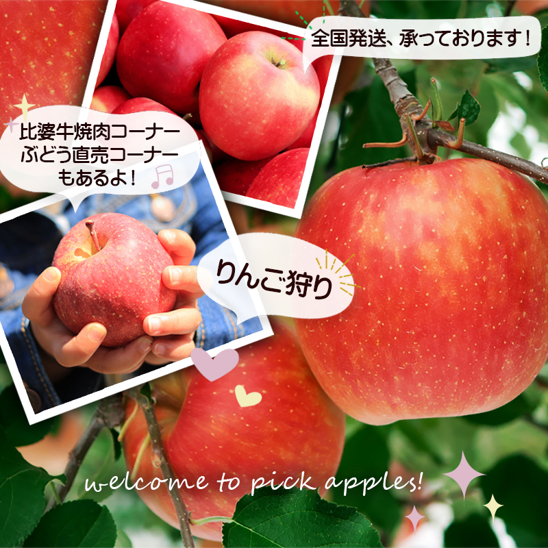 全国発送、承っております。比婆牛焼肉コーナー、ぶどう直売コーナーもあるよ!りんご狩り welcome to pick apples.