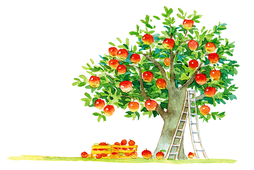 岩本観光りんご園イメージイラスト1