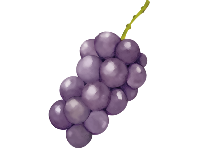 ぶどう直売コーナーイメージイラスト